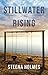 Stillwater Rising (Stillwater Bay, #1) by Steena Holmes