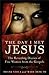 The Day I Met Jesus: The Revealing Diaries of Five Women from the Gospels