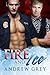 Fire and Ice (Carlisle Cops...