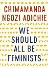 Book cover for We Should All Be Feminists