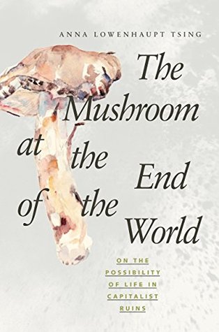 The Mushroom at the End of the World: On the Possibility of Life in Capitalist Ruins