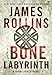 The Bone Labyrinth (Sigma Force, #11)