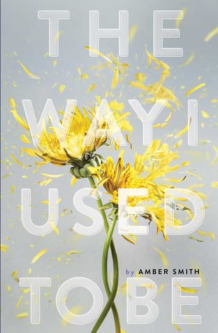 The Way I Used to Be by Amber   Smith