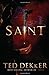 Saint (Paradise, #2)