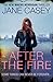 After the Fire (Maeve Kerrigan, #6)