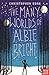 The Many Worlds of Albie Bright by Christopher Edge