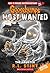 The Haunter (Goosebumps Most Wanted Special Edition, #4)