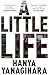 A Little Life