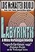 Labyrinth (Vorkosigan Saga)