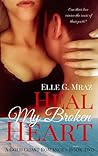 Heal My Broken Heart by Elle G. Mraz