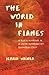 The World in Flames: A Black Boyhood in a White Supremacist Doomsday Cult