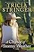 A Chance Of Stormy Weather (Wood Dell Book 1)