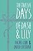 The Twelve Days of Dash and Lily