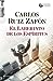 El laberinto de los espíritus (El cementerio de los libros olvidados, #4)