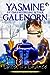 Ghost of a Chance (Chintz 'n China Book 1) by Yasmine Galenorn