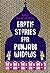 Erotic Stories for Punjabi Widows