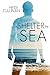 Shelter the Sea (The Roosevelt, #2)