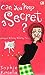 Can You Keep A Secret? - Jangan Bilang Bilang, Ya...