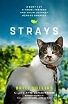 Strays: A Lost Cat, a Homeless Man, and Their Journey Across America