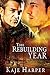 The Rebuilding Year (The Rebuilding Year, #1)