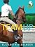 Team Up (Wattle Hill Equestrian Series Book 1)