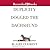 Duplicity Dogged the Dachshund (A Dixie Hemingway Mystery, #2)