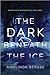 The Dark Beneath the Ice