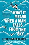 What It Means When A Man Falls From The Sky by Lesley Nneka Arimah