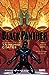 Black Panther, Vol. 4 by Ta-Nehisi Coates