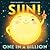 Sun! One in a Billion (Our Universe, 2)