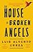 The House of Broken Angels