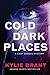 Cold Dark Places (Cady Maddix Mystery, #1) by Kylie Brant