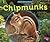 Chipmunks