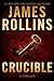 Crucible (Sigma Force, #14)