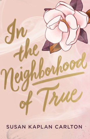 In the Neighborhood of True by Susan Kaplan Carlton