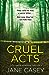 Cruel Acts (Maeve Kerrigan, #8)