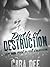 Path of Destruction (Camassia Cove, #3)