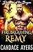 Fire Breathing Remy (Dragons of the Bayou, #4)