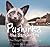 Pushinka the Barking Fox: A True Story of Unexpected Friendship: A True Story of Unexpected Friendship