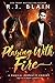 Playing with Fire (Magical Romantic Comedies, #1) by R.J. Blain