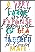 A Very Large Expanse of Sea by Tahereh Mafi