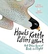 Hawks Kettle, Puffins Wheel: And Other Poems of Birds in Flight