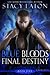 Blue Bloods Final Destiny