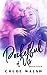 Pocketful of Us (Pocket #4)