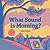 What Sound Is Morning?