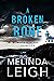 A Broken Bone (Widow's Island, #6) by Melinda Leigh