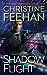 Shadow Flight (Shadow Riders, #5)