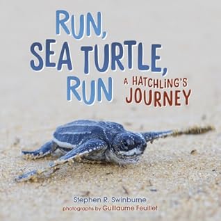 Run, Sea Turtle, Run by Stephen Swinburne