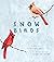 Snow Birds: A Picture Book