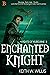 Enchanted Knight